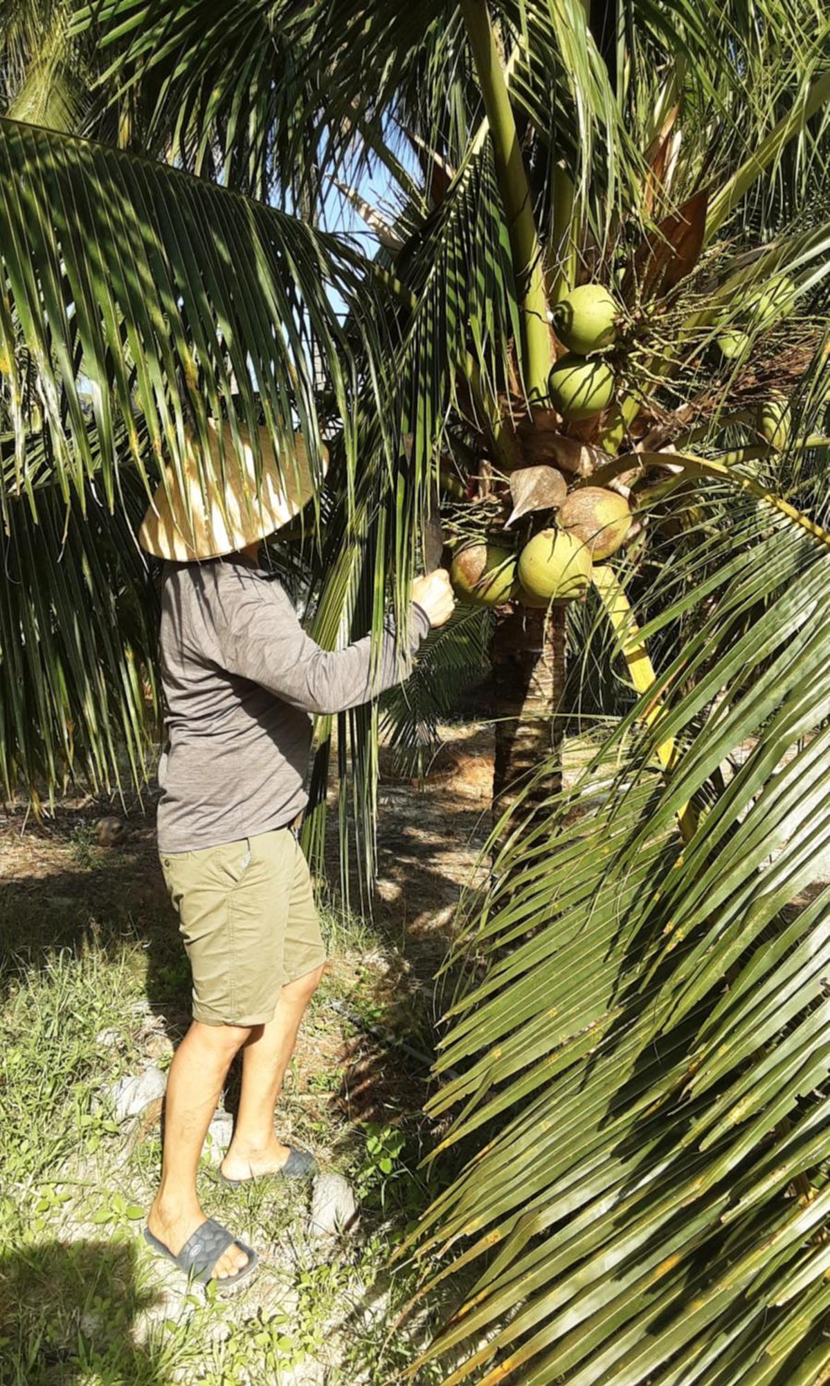 Bonnie Homestay Mui Ne Phan Thiet Eksteriør bilde